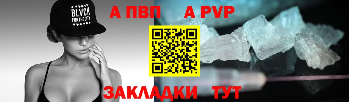 A PVP СК Сокол