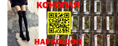 спиды Заводоуковск