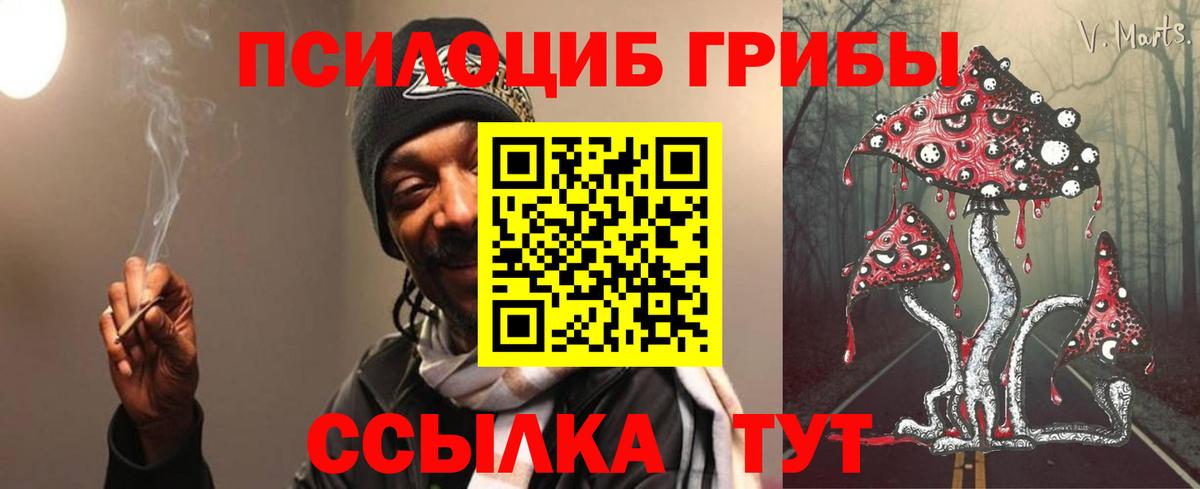 Галлюциногенные грибы ЛСД  Вход с VPN  Сокол  Псилоцибиновые грибы ЛСД 